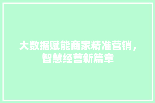 大数据赋能商家精准营销，智慧经营新篇章  第1张