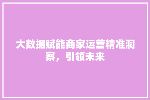 大数据赋能商家运营精准洞察，引领未来  第1张