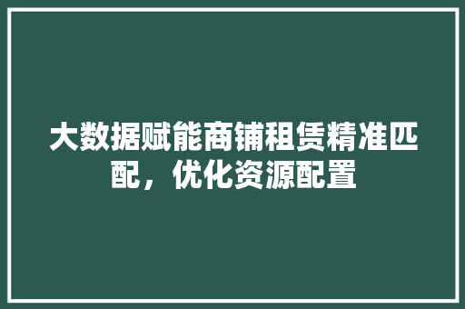 大数据赋能商铺租赁精准匹配，优化资源配置