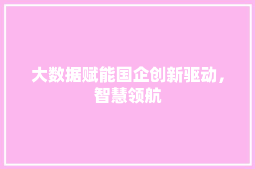 大数据赋能国企创新驱动，智慧领航