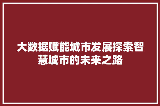 大数据赋能城市发展探索智慧城市的未来之路  第1张