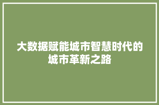 大数据赋能城市智慧时代的城市革新之路  第1张