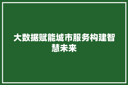 大数据赋能城市服务构建智慧未来  第1张