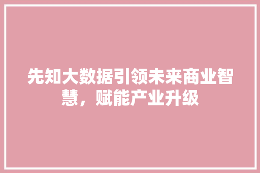 先知大数据引领未来商业智慧，赋能产业升级