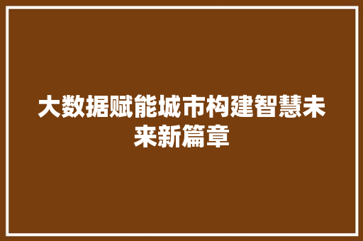 大数据赋能城市构建智慧未来新篇章  第1张
