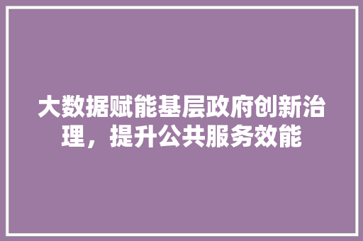 大数据赋能基层政府创新治理，提升公共服务效能