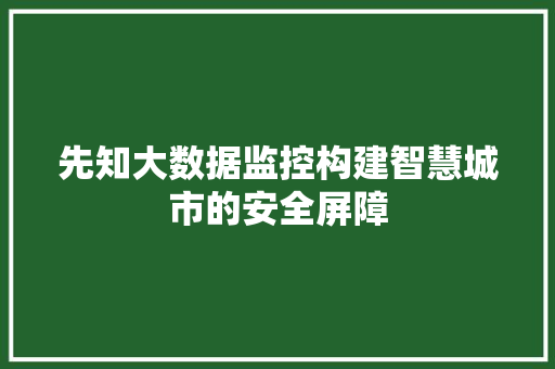 先知大数据监控构建智慧城市的安全屏障