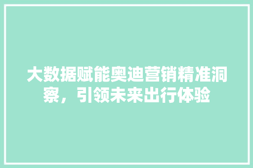 大数据赋能奥迪营销精准洞察，引领未来出行体验  第1张