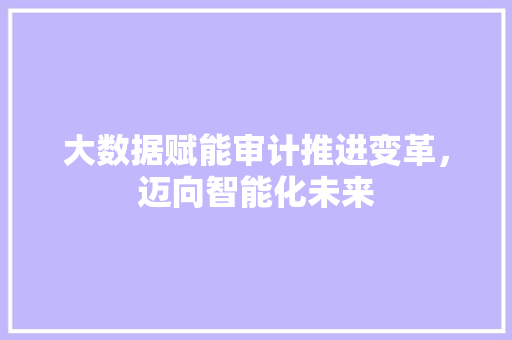 大数据赋能审计推进变革，迈向智能化未来  第1张