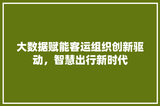 大数据赋能客运组织创新驱动，智慧出行新时代
