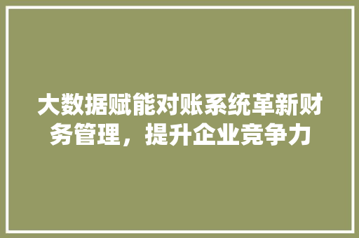 大数据赋能对账系统革新财务管理，提升企业竞争力