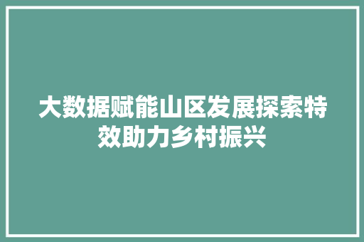 大数据赋能山区发展探索特效助力乡村振兴