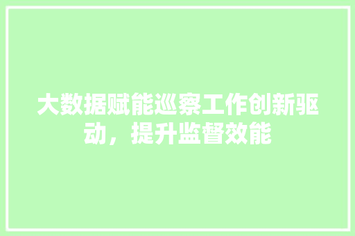 大数据赋能巡察工作创新驱动，提升监督效能  第1张