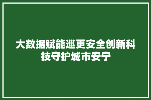 大数据赋能巡更安全创新科技守护城市安宁  第1张