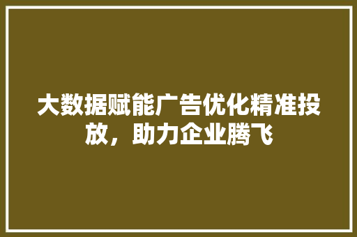 大数据赋能广告优化精准投放，助力企业腾飞  第1张
