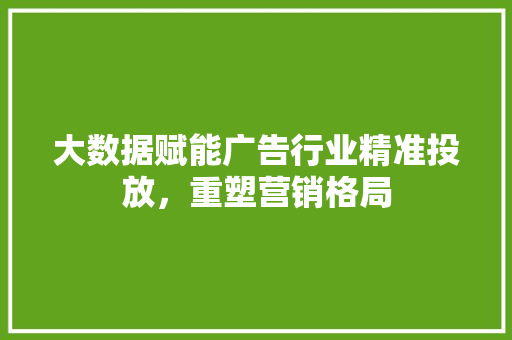 大数据赋能广告行业精准投放，重塑营销格局  第1张