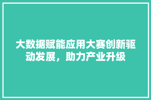 大数据赋能应用大赛创新驱动发展，助力产业升级