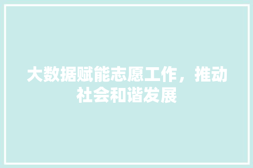 大数据赋能志愿工作，推动社会和谐发展