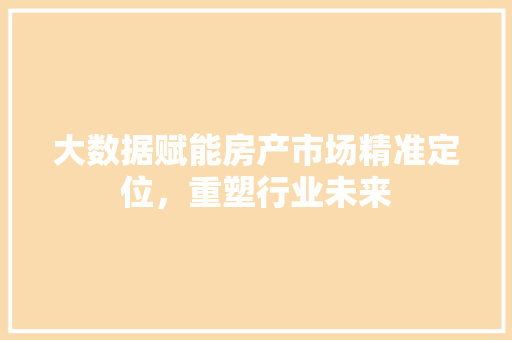 大数据赋能房产市场精准定位，重塑行业未来