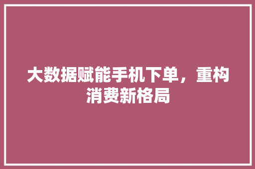 大数据赋能手机下单，重构消费新格局
