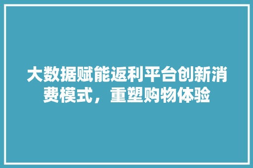 大数据赋能返利平台创新消费模式，重塑购物体验