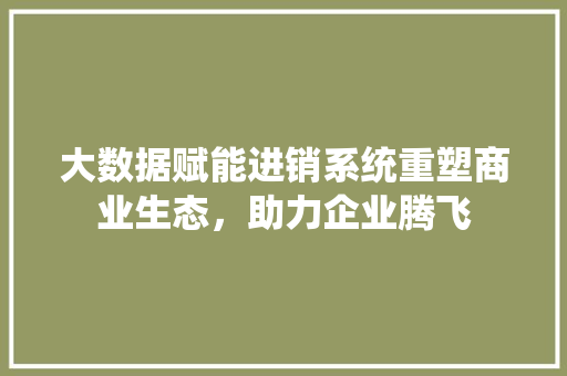大数据赋能进销系统重塑商业生态，助力企业腾飞