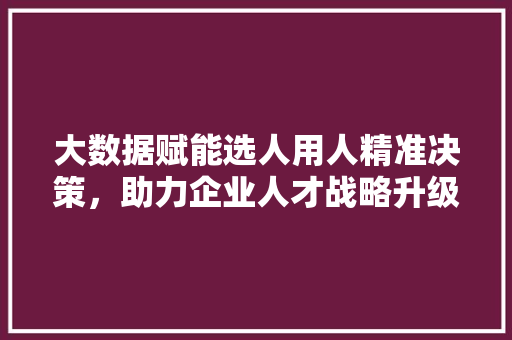 大数据赋能选人用人精准决策，助力企业人才战略升级  第1张