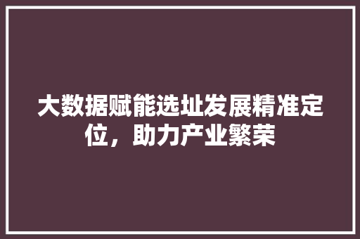 大数据赋能选址发展精准定位，助力产业繁荣  第1张