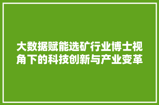 大数据赋能选矿行业博士视角下的科技创新与产业变革  第1张