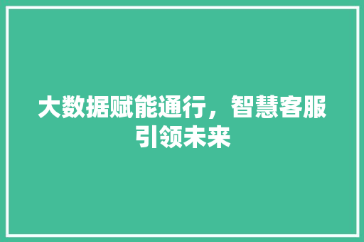 大数据赋能通行，智慧客服引领未来  第1张