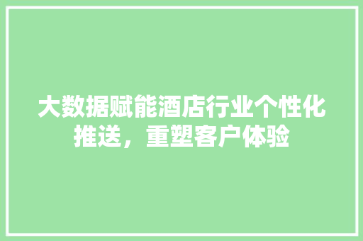大数据赋能酒店行业个性化推送，重塑客户体验  第1张