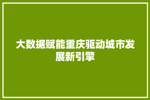 大数据赋能重庆驱动城市发展新引擎  第1张