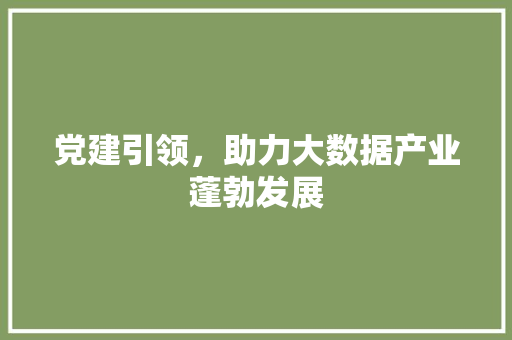 党建引领，助力大数据产业蓬勃发展  第1张