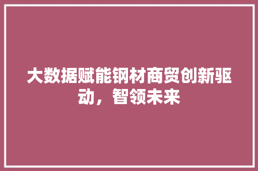 大数据赋能钢材商贸创新驱动，智领未来  第1张