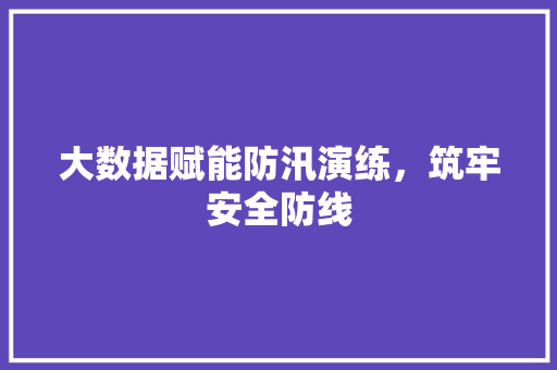 大数据赋能防汛演练，筑牢安全防线  第1张