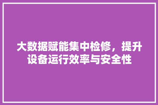 大数据赋能集中检修，提升设备运行效率与安全性