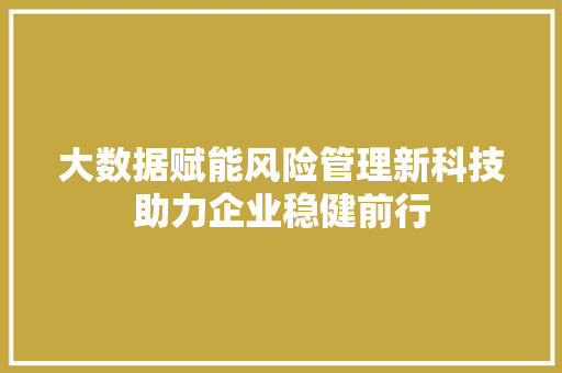 大数据赋能风险管理新科技助力企业稳健前行