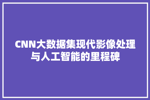 CNN大数据集现代影像处理与人工智能的里程碑