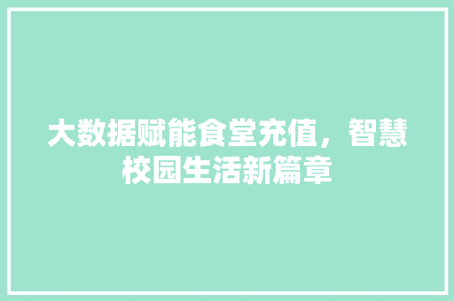 大数据赋能食堂充值，智慧校园生活新篇章