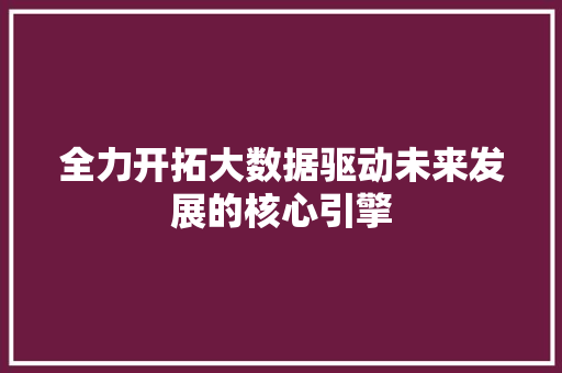 全力开拓大数据驱动未来发展的核心引擎  第1张