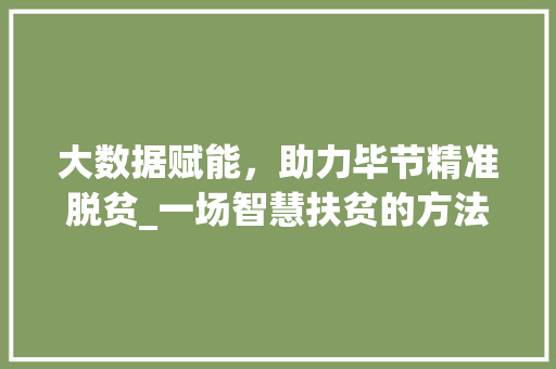 大数据赋能，助力毕节精准脱贫_一场智慧扶贫的方法探索  第1张