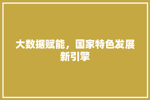 大数据赋能，国家特色发展新引擎