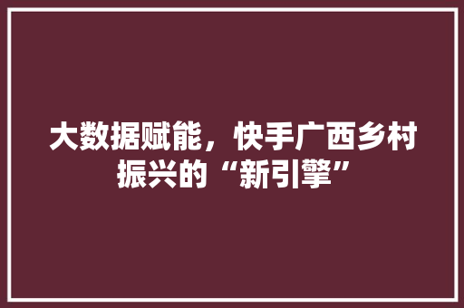 大数据赋能，快手广西乡村振兴的“新引擎”  第1张