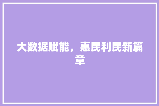 大数据赋能，惠民利民新篇章  第1张
