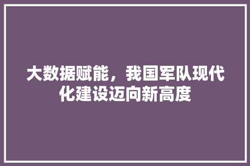 大数据赋能，我国军队现代化建设迈向新高度