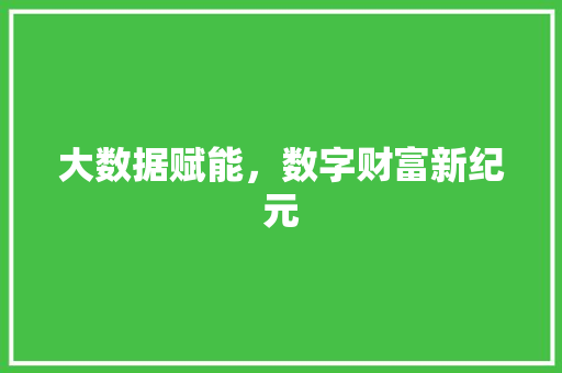 大数据赋能，数字财富新纪元  第1张