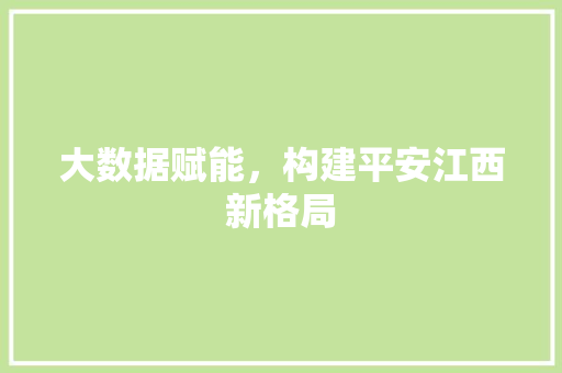 大数据赋能，构建平安江西新格局  第1张