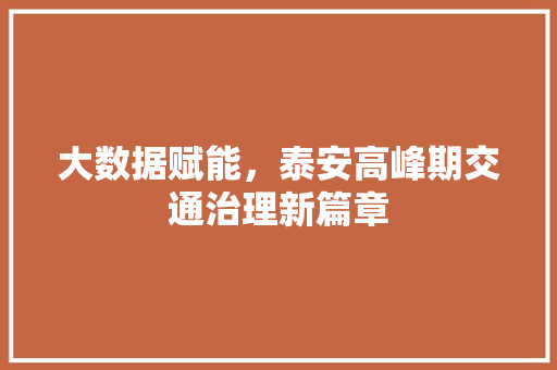 大数据赋能，泰安高峰期交通治理新篇章  第1张