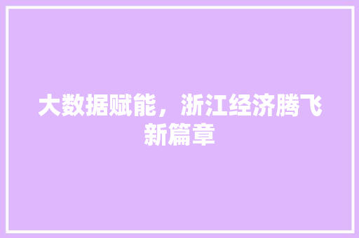 大数据赋能，浙江经济腾飞新篇章  第1张