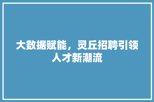 大数据赋能，灵丘招聘引领人才新潮流